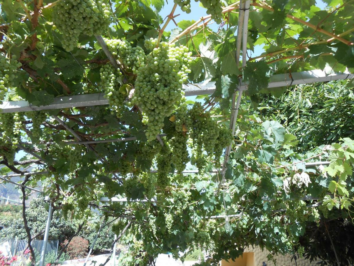 Casitas Las Uvas Y Las Vinas Los Realejos Esterno foto