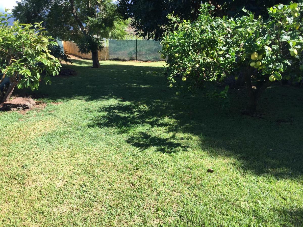 Casitas Las Uvas Y Las Vinas Los Realejos Esterno foto